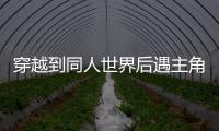 穿越到同人世界后