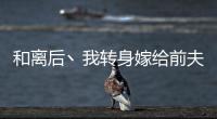 和离后丶我转身嫁