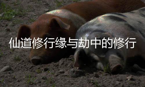 《开局就被赶出豪门》全文在线阅读