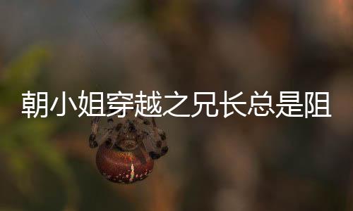《全网黑后我在军旅综艺杀疯了》全文在线阅读