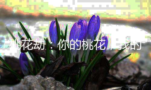 《快穿年代之炮灰逆袭》全文在线阅读