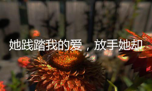 《快穿年代之炮灰逆袭》全文在线阅读