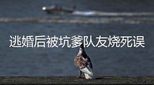 《治愈S级雄兽，小雌性是帝国珍宝》全文在线阅读