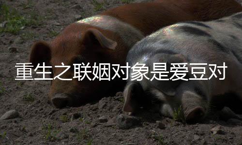 《闪婚七零：随军养崽暴富了》全文在线阅读