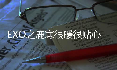 《重生年代大院娇媳美又飒》全文在线阅读